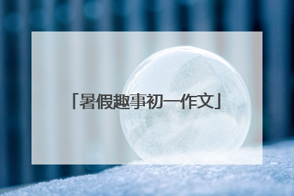 暑假趣事初一作文