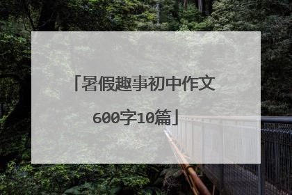 暑假趣事初中作文600字10篇