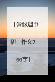 暑假趣事初二作文700字