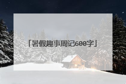 暑假趣事周记600字