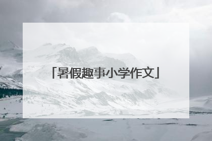 暑假趣事小学作文