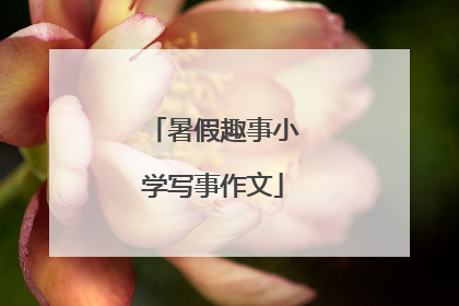 暑假趣事小学写事作文