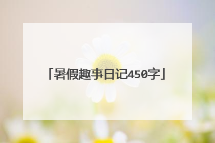 暑假趣事日记450字