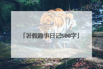 暑假趣事日记500字