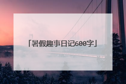 暑假趣事日记600字