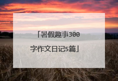 暑假趣事300字作文日记5篇