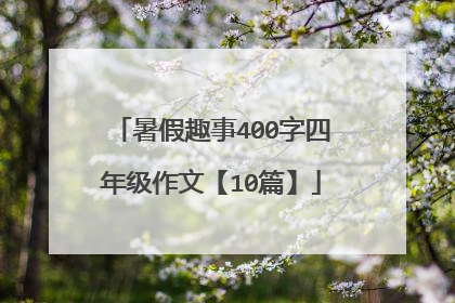 暑假趣事400字四年级作文【10篇】
