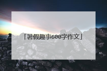 暑假趣事600字作文