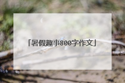 暑假趣事800字作文