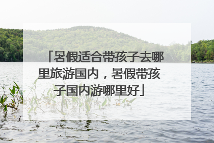 暑假适合带孩子去哪里旅游国内，暑假带孩子国内游哪里好