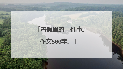 暑假里的一件事。作文500字。