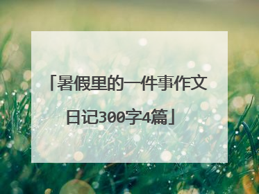 暑假里的一件事作文日记300字4篇