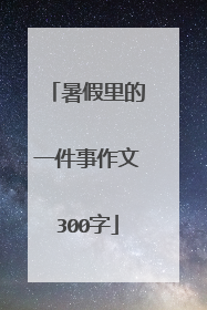 暑假里的一件事作文300字
