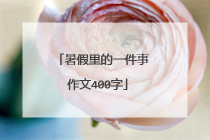 暑假里的一件事作文400字