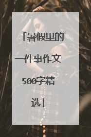暑假里的一件事作文500字精选