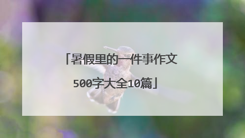 暑假里的一件事作文500字大全10篇