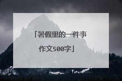 暑假里的一件事作文500字