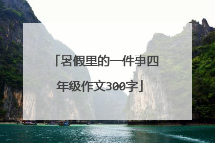 暑假里的一件事四年级作文300字