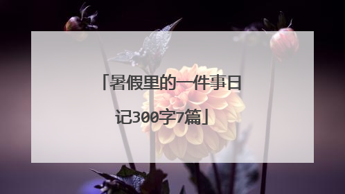 暑假里的一件事日记300字7篇