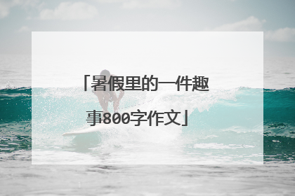 暑假里的一件趣事800字作文