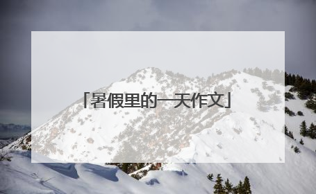 暑假里的一天作文