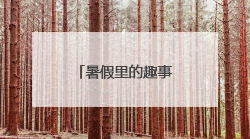 暑假里的趣事作文600字