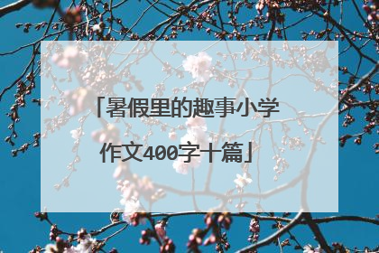 暑假里的趣事小学作文400字十篇