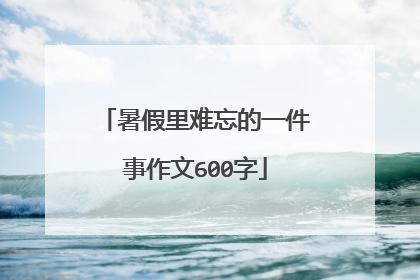暑假里难忘的一件事作文600字