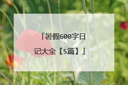 暑假600字日记大全【5篇】