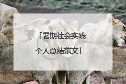 暑期社会实践个人总结范文