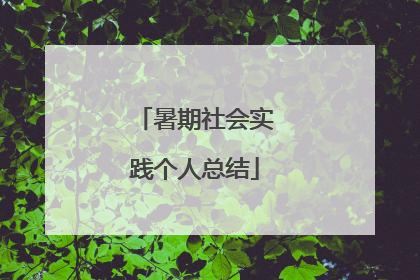 暑期社会实践个人总结