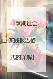 暑期社会实践报告格式的详解