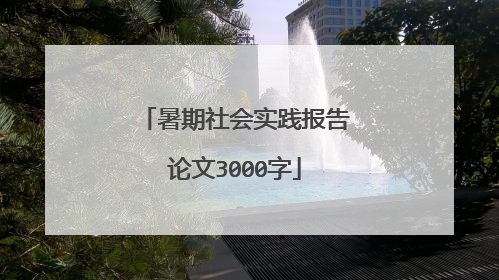 暑期社会实践报告论文3000字