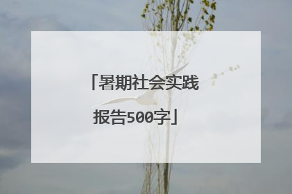 暑期社会实践报告500字