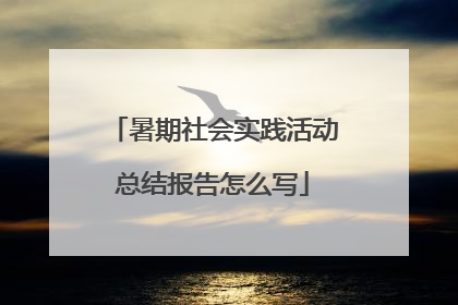 暑期社会实践活动总结报告怎么写