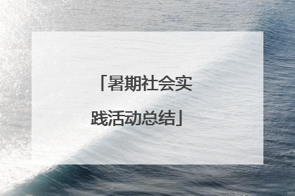 暑期社会实践活动总结