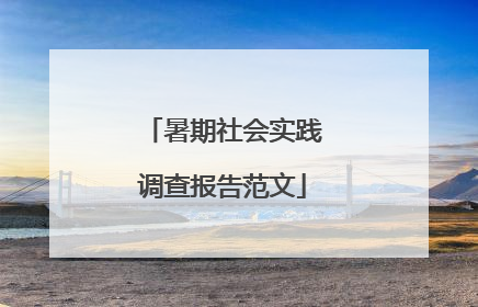 暑期社会实践调查报告范文
