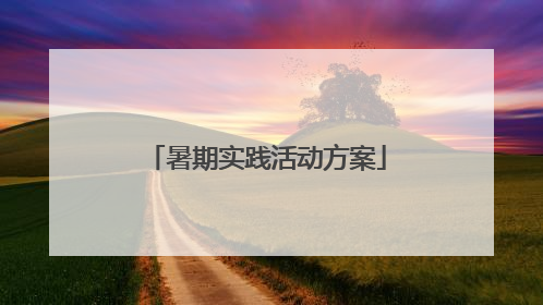 暑期实践活动方案