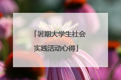 暑期大学生社会实践活动心得
