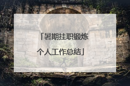 暑期挂职锻炼个人工作总结