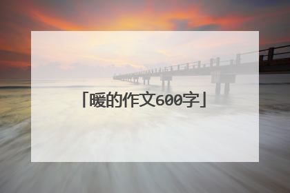 暖的作文600字