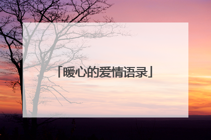 暖心的爱情语录