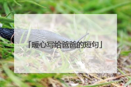 暖心写给爸爸的短句