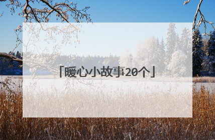 暖心小故事20个