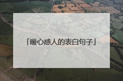 暖心感人的表白句子