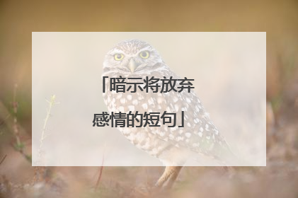 暗示将放弃感情的短句