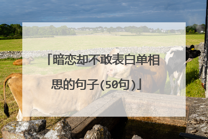 暗恋却不敢表白单相思的句子(50句)