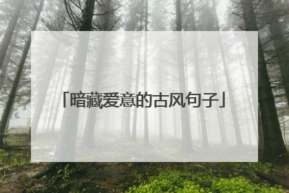 暗藏爱意的古风句子