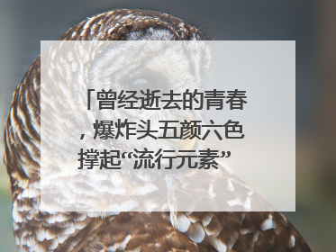 曾经逝去的青春,爆炸头五颜六色撑起“流行元素”,后来怎样?