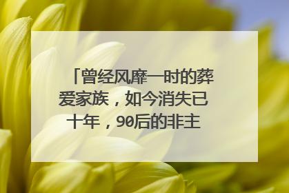 曾经风靡一时的葬爱家族,如今消失已十年,90后的非主流现在啥样了?
